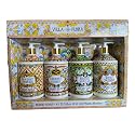 Home and Body Company Hand Soap Villa Flora Collection 16 FL/473ml Bottles infused with Essential Oils (SET OF 4) Sea Salt Verbena, Coconut Citrus Beauty & Personal Care Home & Body Company
