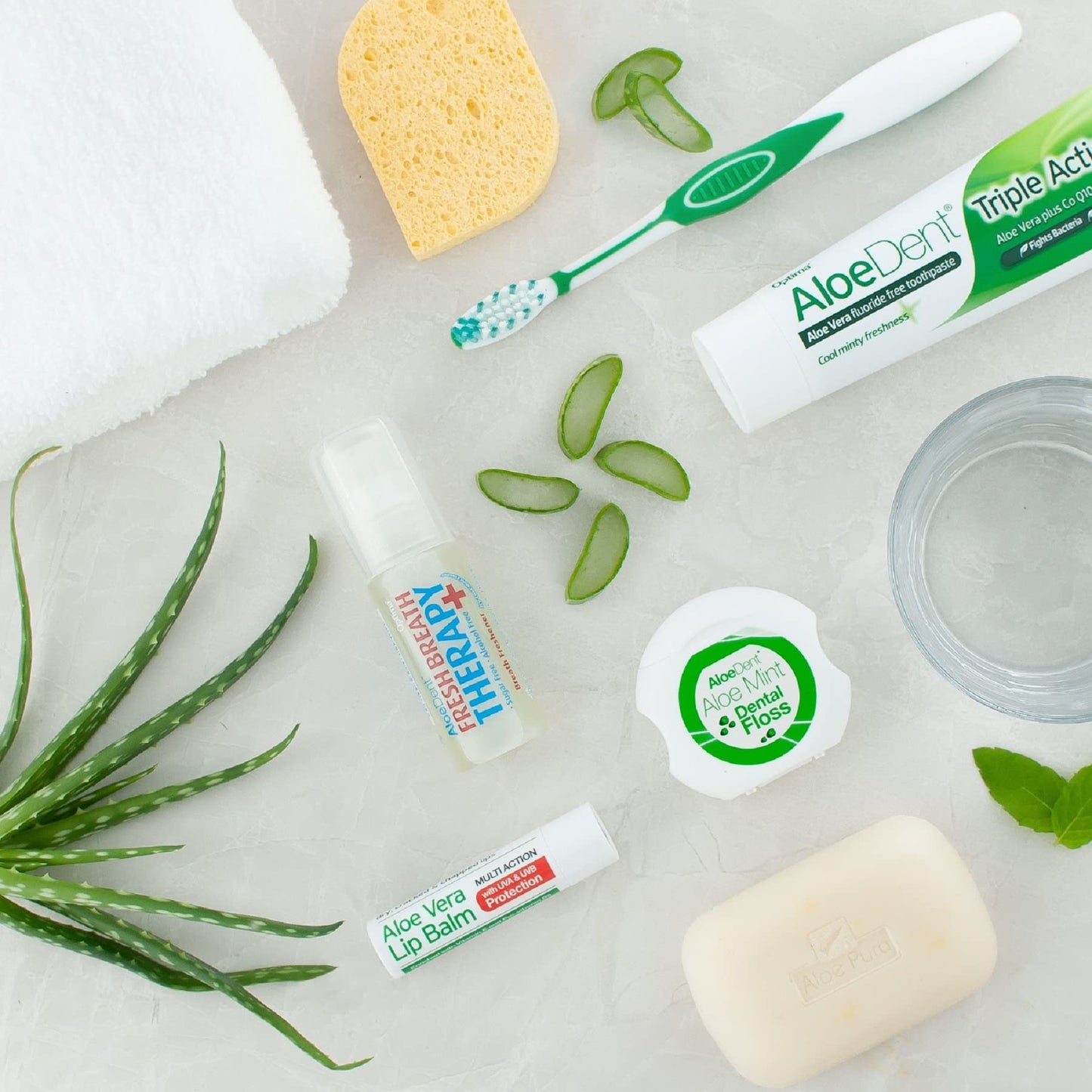 Aloe Dent Aloe Vera Lip Balm - 12 Pack Beauty and Personal Care Aloe Dent