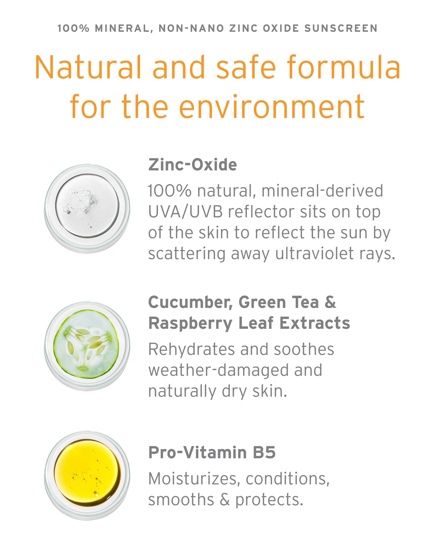 Kerstin Florian Sheer Mineral Body Sunscreen SPF 30 | Waterproof UVA/UVB Sun Protection with Natural Zinc Oxide | Reef Safe Fragrance Free Formula Beauty & Personal Care Kerstin Florian