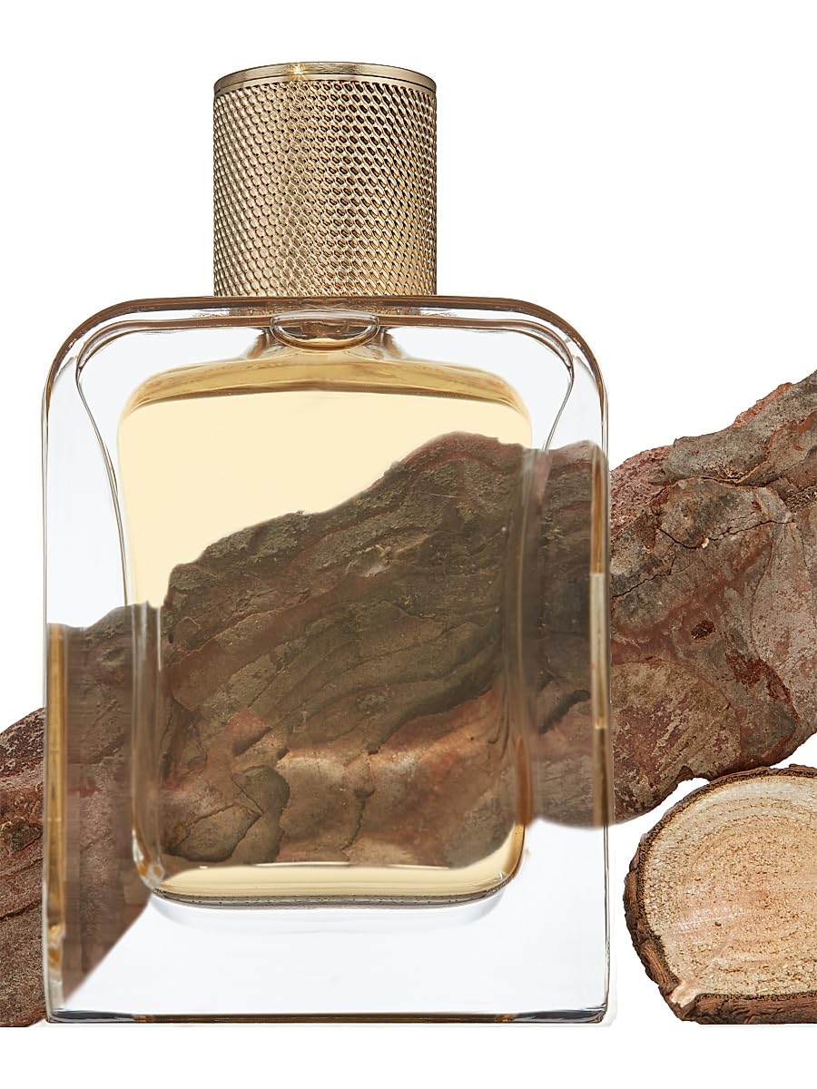 Veronique Gabai, Oud Elixir Eau de Parfum, 2.9 oz Beauty & Personal Care Veronique Gabai