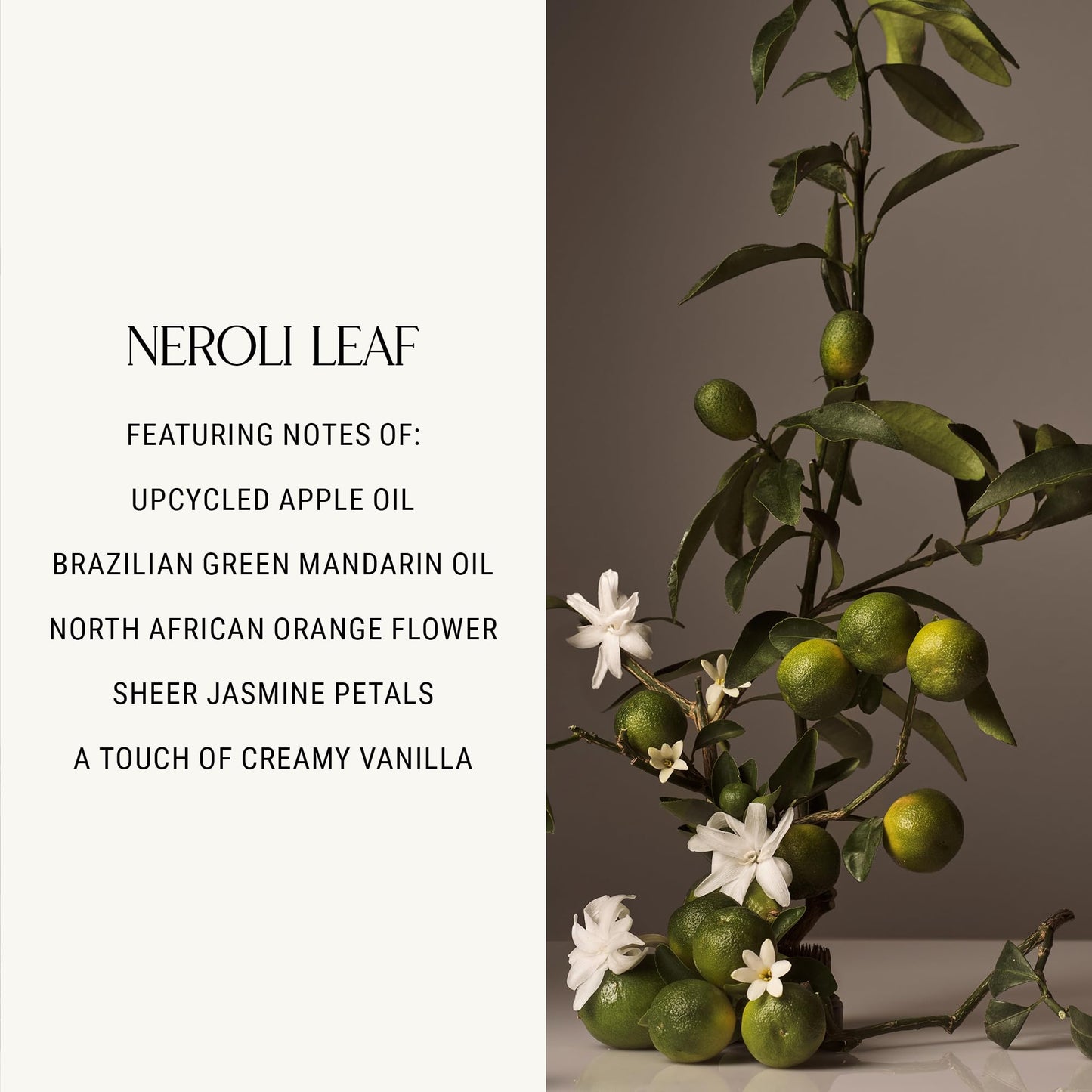 Homecourt Hand Wash, Gently Cleanses & Hydrates, Removes Dirt & Debris Without Irritating Skin, Clean Formula, Neroli Leaf, 12 fl oz Beauty & Personal Care Homecourt
