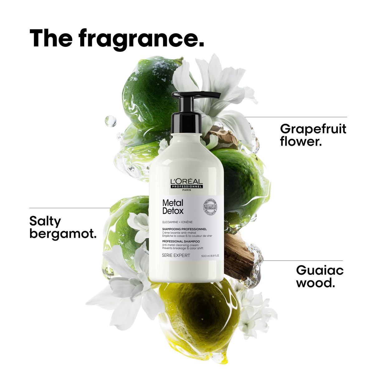 L'Oréal Professionnel Paris Metal Detox Shampoo - Sulfate-Free Anti-Breakage Shampoo For Damaged Hair, Detoxifies, Prevents Damage & Prolongs Hair Beauty & Personal Care L'Oréal Professionnel Paris