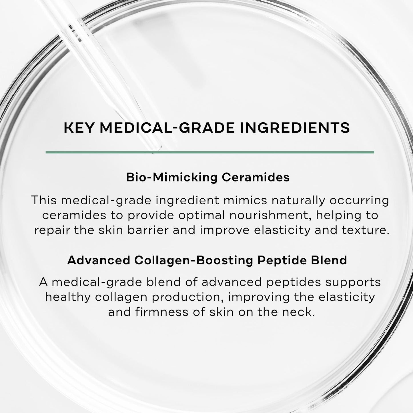 Replenix Lifting + Firming Neck Cream, Advanced Medical-Grade Neck & Décolleté Treatment for Mature Skin (1.7 oz) Beauty & Personal Care Replenix