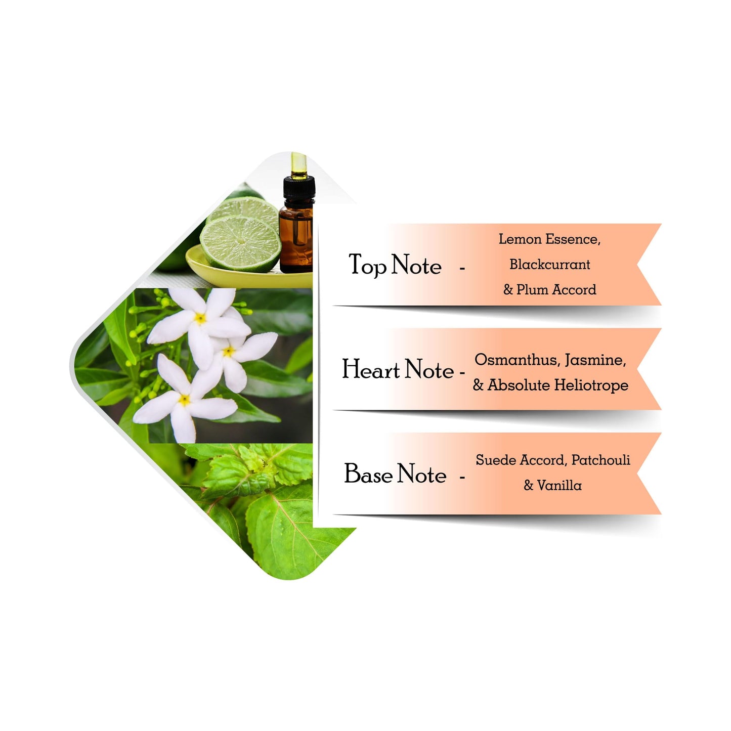 Police Police To Be Exotic Jungle Eau de Parfum for her 40ml, 186 g Beauty & Personal Care Police