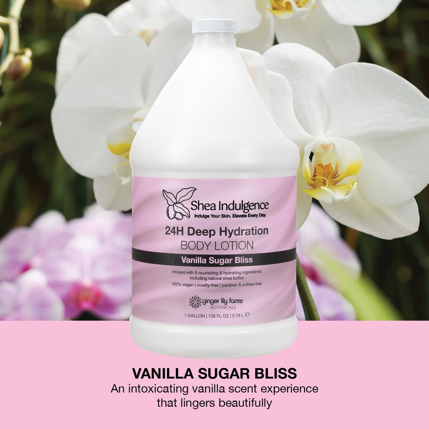 Ginger Lily Farms Botanicals Shea Indulgence 24H Deep Hydration Body Lotion, 100% Vegan & Cruelty-Free, Vanilla Sugar Bliss Scent, 1 Gallon (128 fl Beauty & Personal Care Ginger Lily Farms