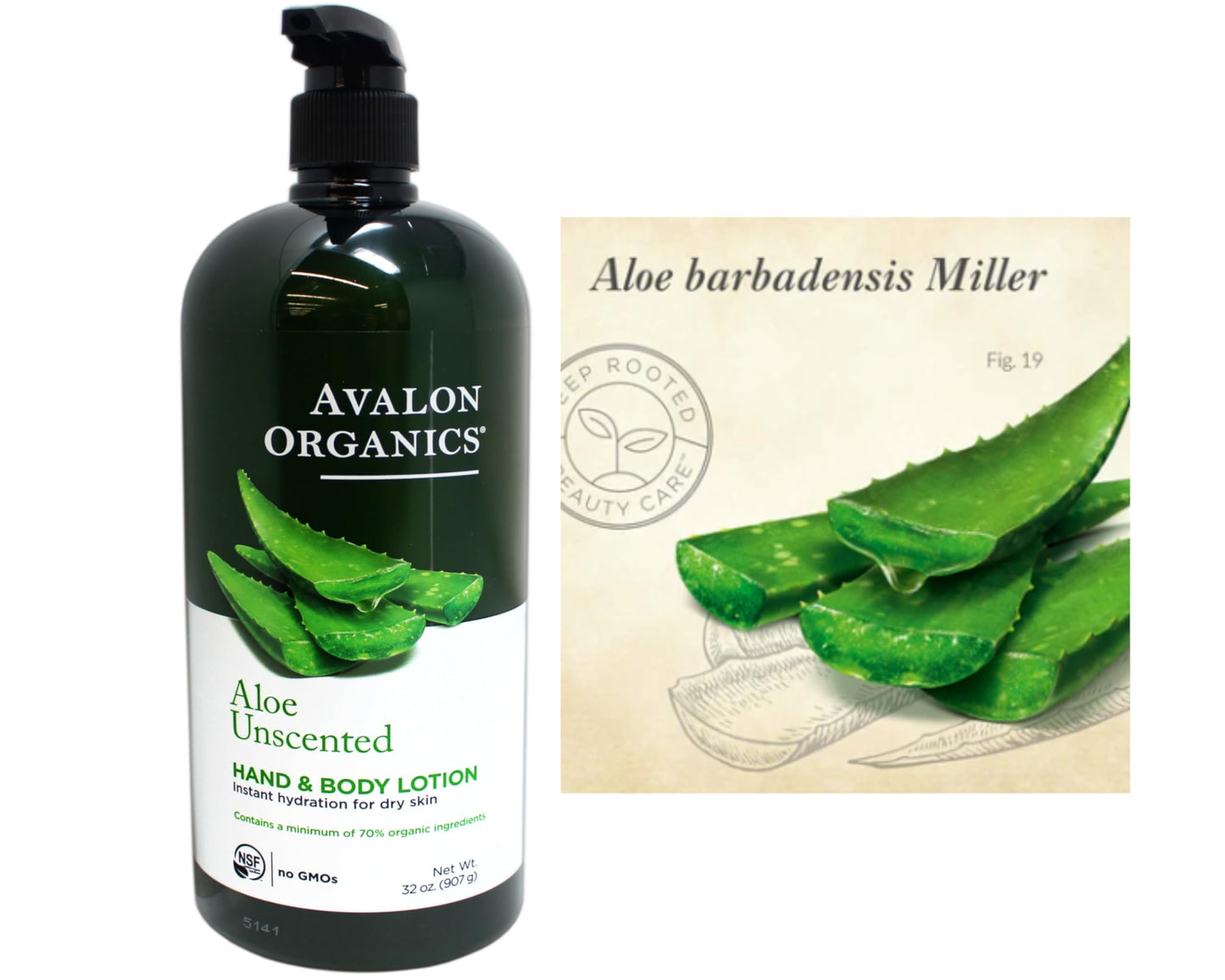 Avalon Organics Hand & Body Lotion for Dry Skin Aloe Unscented, 32 OZ Beauty & Personal Care Avalon Organics