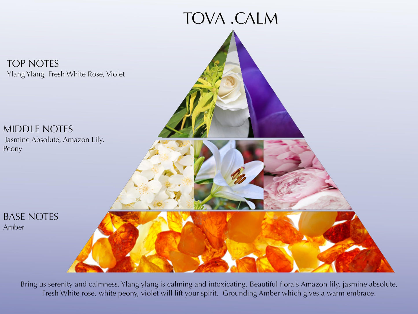 Tova Calm Personal Veil Fragrance Spray - Ylang-Ylang Rose & Violet Floral Mist for Women - USA Made & Cruelty-Free - 1.7 fl oz Beauty & Personal Care Tova