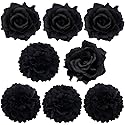 Large Floral Hair Accessory Set - Includes 4 Peony and 4 Rose Barrette Hair Clips for Flamenco Dance, Beach Party, Wedding (Black) Beauty & Personal Care BETITETO