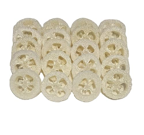 2cm Natural Loofah Cuts Loofah Slices for Soap Making or Soap Dish Pack of 20 Beauty & Personal Care KEWLYSEU