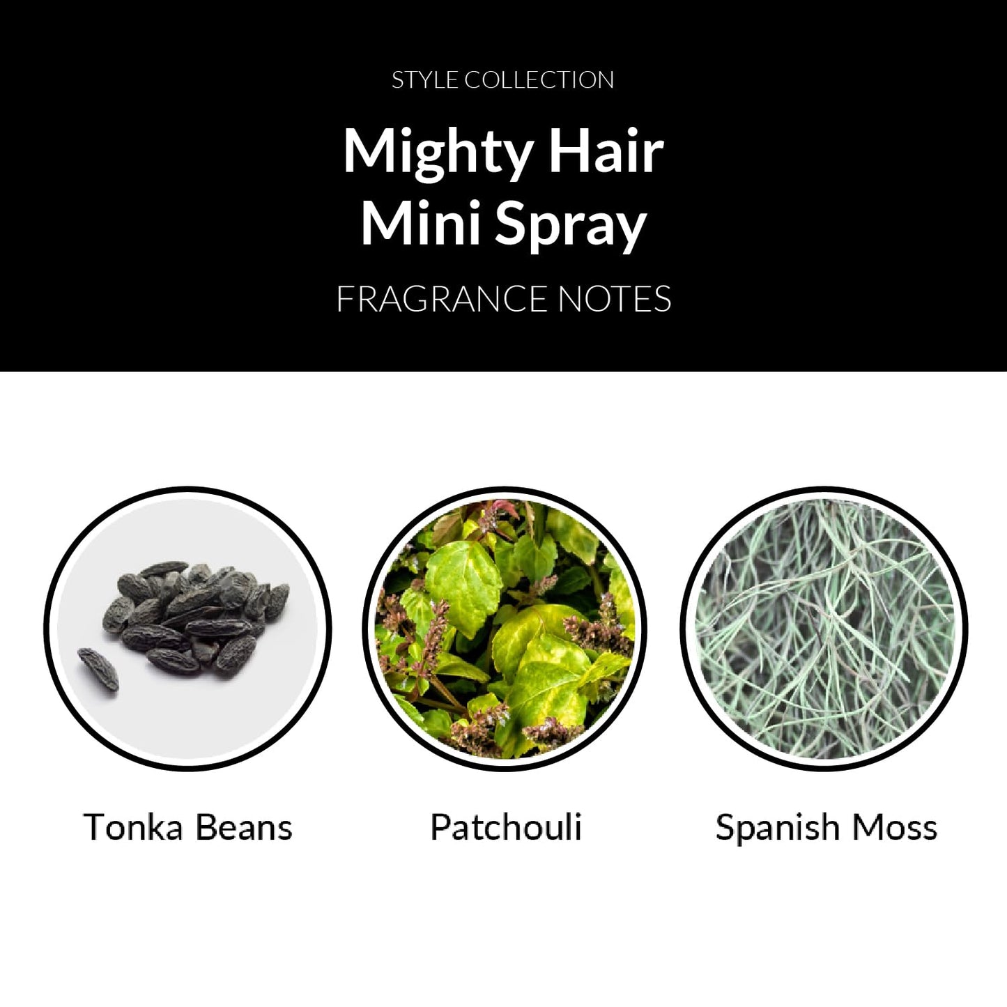 Number 4 Mini Hairspray for Women and Men, Travel-size Strong Hold Hair Spray, 2.0 oz Beauty & Personal Care Number 4