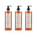 Prija Vitalising Hand Wash with Ginseng Extract Gently Cleanses Hands, Moisturizing Liquid Hand Soap, Vegan Friendly with Energizing Fragrance 3 x Beauty & Personal Care Prija
