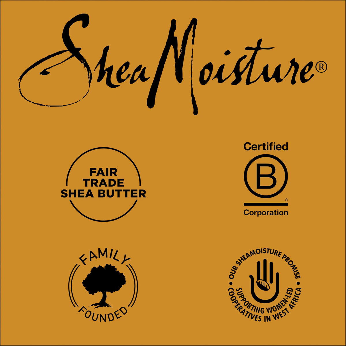 SheaMoisture Raw Shea Butter Deep Moisturizing Shampoo Raw Shea Butter for Dry, Damaged or Transitioning Hair with Argan Oil For a Healthy Glow 13 oz Beauty & Personal Care SheaMoisture