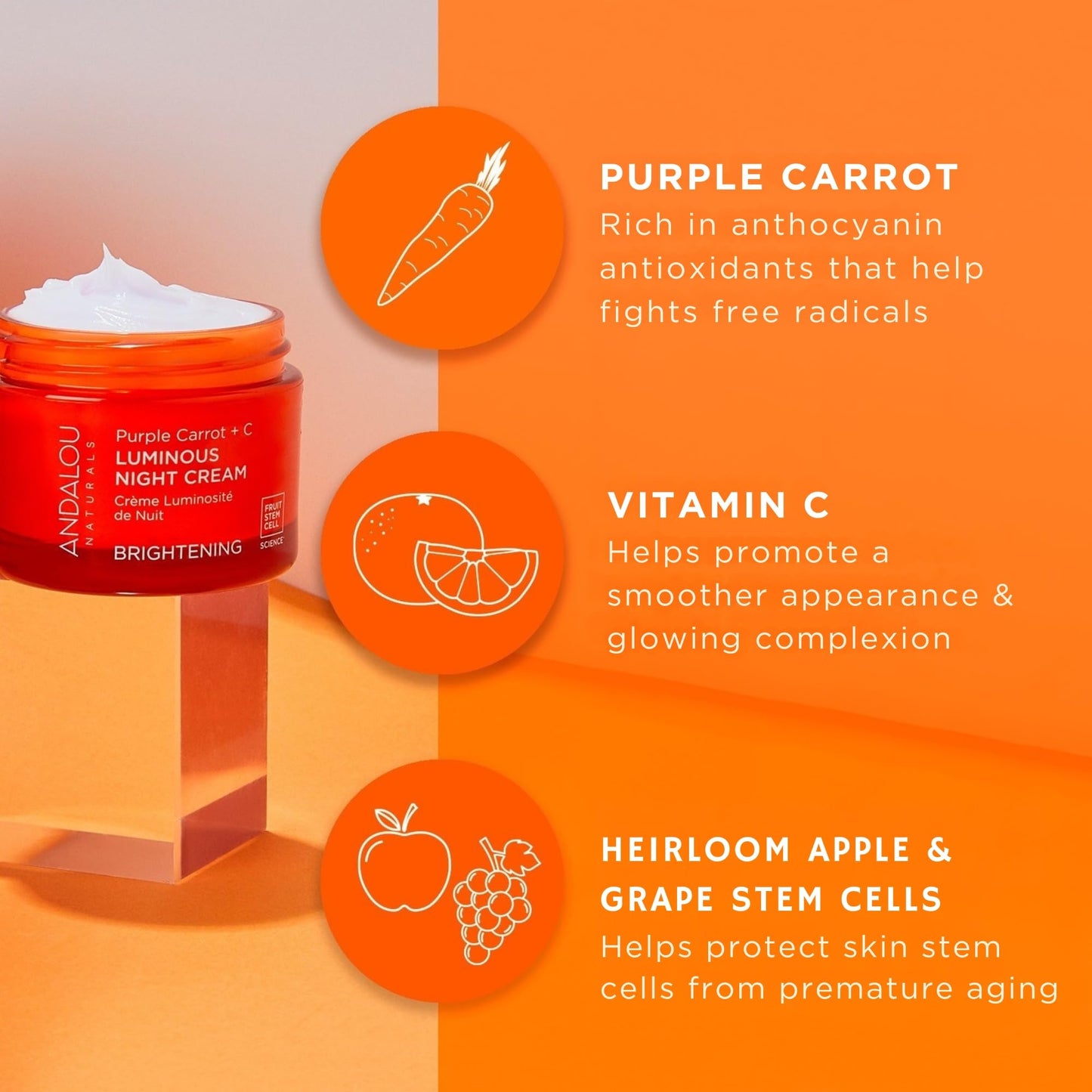 Andalou Naturals Night Crm Prpl Carrot+c Beauty & Personal Care Andalou Naturals