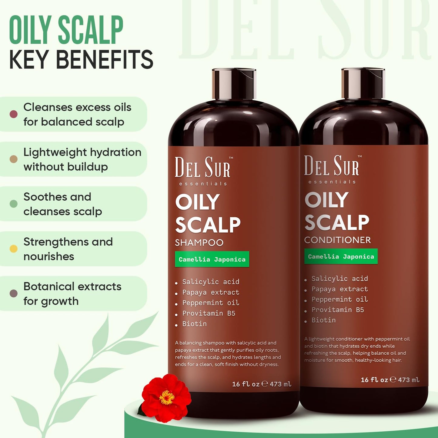 DEL SUR Clarifying Shampoo and Conditioner Set for Oily Hair | 16 fl oz | with Camellia Japonica, Salicylic Acid, Papaya & Biotin | Scalp Oil Control Beauty & Personal Care DEL SUR