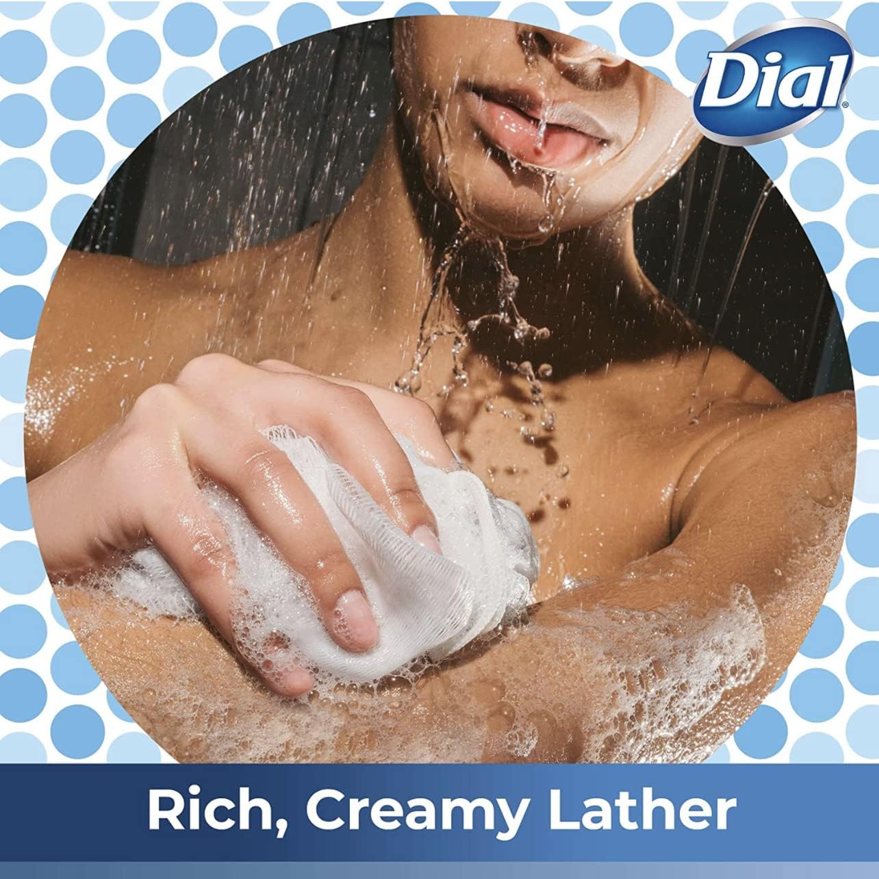 Dial Moisturizing Body Wash - Silk & Magnolia - Net Wt. 16 FL OZ (473 mL) (1 Bottle) (1) Beauty & Personal Care Dial