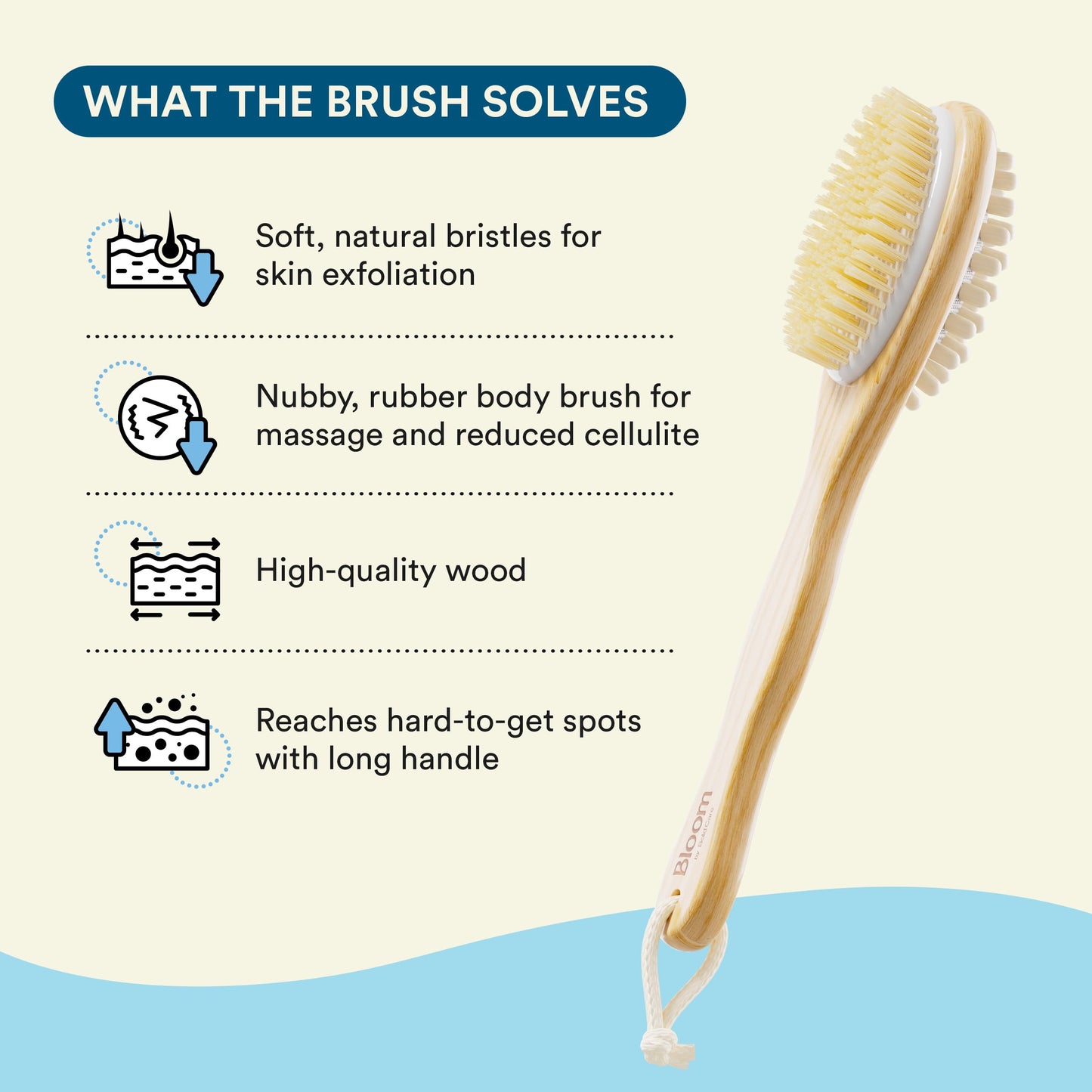 Bloom by Boldcare 2-in-1 Long Handle Body Brush for Skin Exfoliation and Massage Reduces Cellulite Stimulates Blood Circulation & Reduces Dead Skin Beauty and Personal Care Bloom by Boldcare