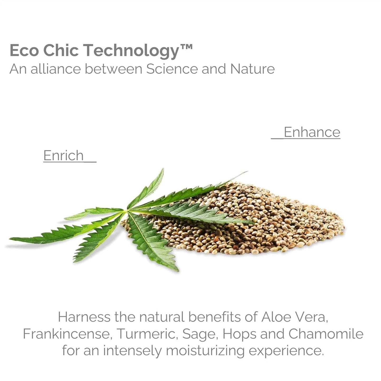 GIOVANNI Hemp Hydrating Shampoo, Conditioner, & Serum Trio - Contains Hemp Seed Oil, Aloe Vera, & Frankincense, Helps Stimulate, Moisturize Beauty & Personal Care GIOVANNI