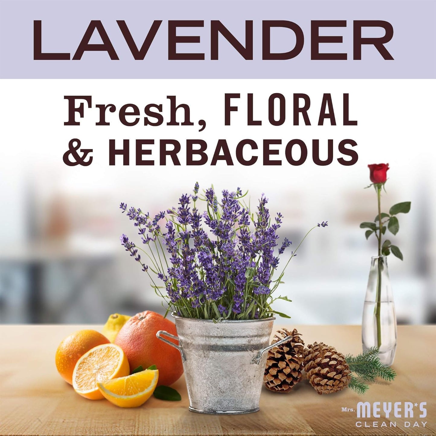 Mrs. Meyer's Clean Day Hand Soap Refill, Lavender, 33 Fl oz (Pack of 2) Beauty & Personal Care Mrs. MEYER'S