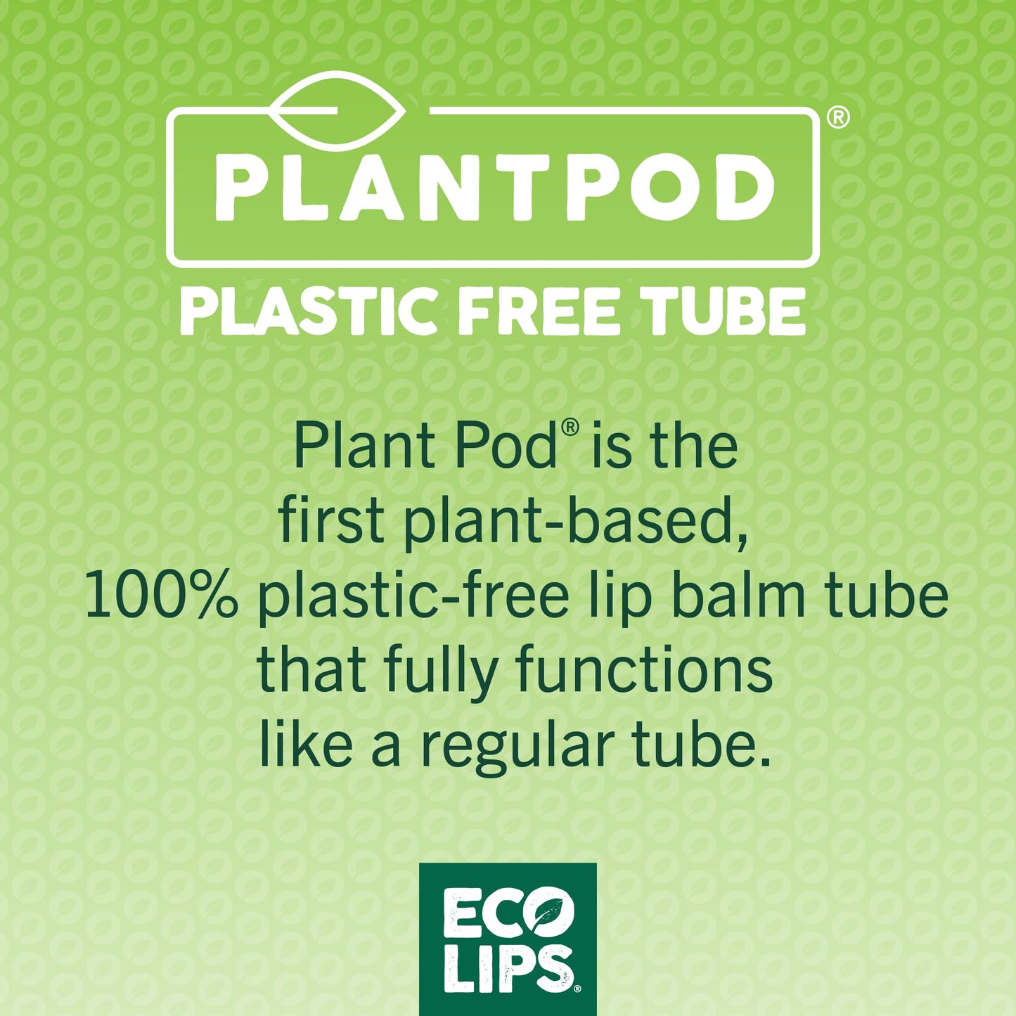 Eco Lips Classic Variety Broad Spectrum Sunscreen Lip Balm 6-Pack (Berry, Sport, Mint) - 100% Plastic-Free Plant Pod Packaging - Made in USA Beauty & Personal Care Eco Lips