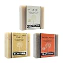 Plantlife Frankincense, Sandalwood, and Patchouli Bar Soap Bundle of 3 - Moisturizing and Soothing Soap for Your Skin, Handcrafted Using Plant-Based Beauty & Personal Care Plantlife