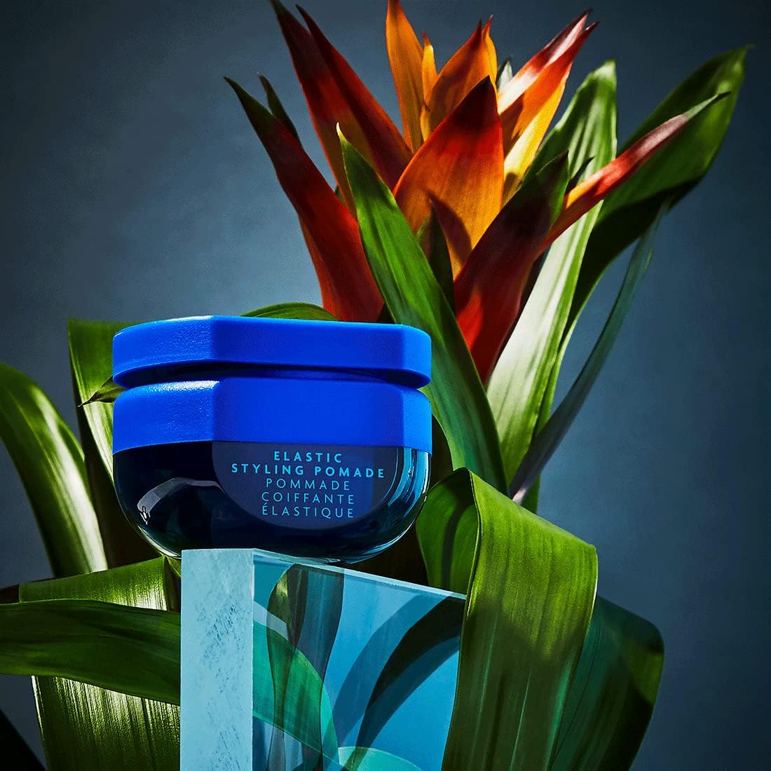 R+Co BLEU Elastic Styling Pomade - Adds Piecey Texture, Structure, and Separation, Pliable Light Hold for Short and Long Hair, Re-invent Your Style Beauty & Personal Care R+Co
