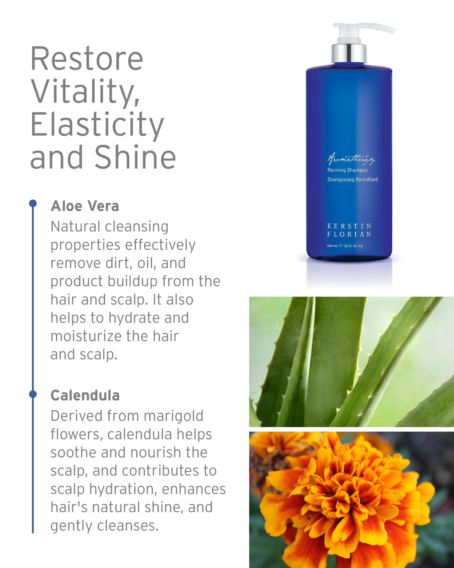 Kerstin Florian Reviving Shampoo | Moisturize & Boost Shine | Aloe and Wheat Protein Detangle & Hydrate Dull Hair | All Hair Types (13.5 fl oz) Beauty & Personal Care Kerstin Florian