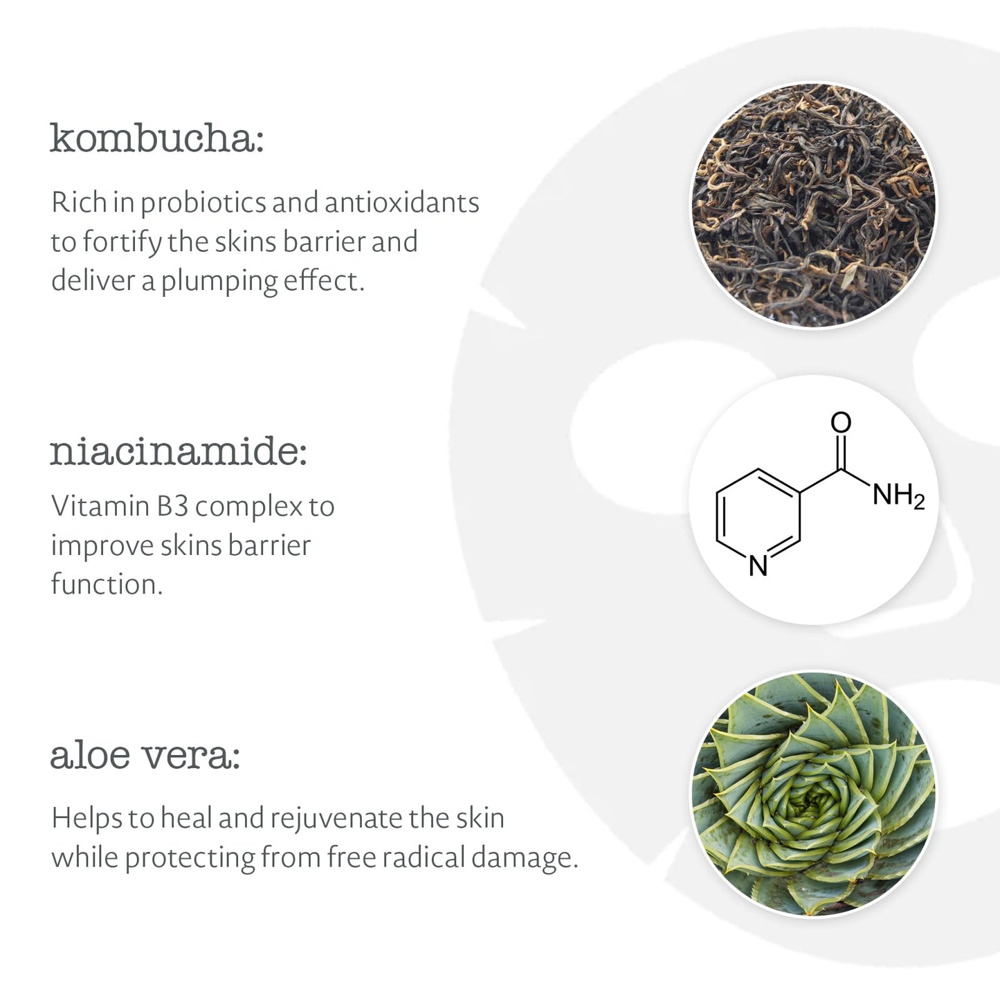 Elemental Herbology Kombucha Infusion Sheet Mask, 1 Mask- Radiance-Boosting, Face Sheet Mask with Probiotics, Niacinamide & Aloe Vera - Brightens Beauty & Personal Care Elemental Herbology