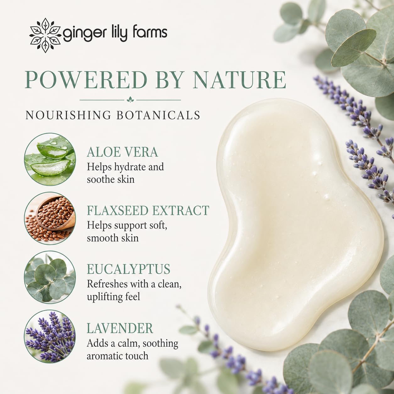 Ginger Lily Farms Botanicals Nourishing Body Wash, 100% Vegan & Cruelty-Free, Eucalyptus Tranquility, 16.9 Fl Oz Beauty & Personal Care Ginger Lily Farms