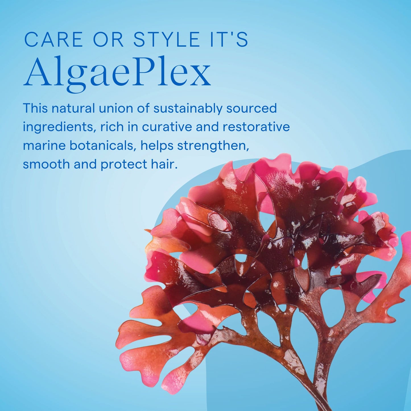 AQUAGE Weightless Detangler, Ultra-Light Conditioner, Hydrates and Restores Moisture Without Weighing Hair Down, Eliminates Tangles, 8 oz Beauty & Personal Care Aquage