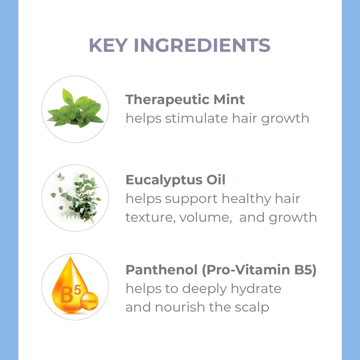 DERMA-E Thickening Shampoo for Thinning Hair - Natural Hair Growth Shampoo - Sulfate Free Therapeutic Mint and Herbal Volumizing, 10 oz Beauty & Personal Care Derma E