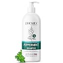 Peppermint Shampoo with Castor Oil & Biotin, Soothes Dry, Itchy Scalp, Strengthens Hair, Reduces Thinning & Hair Loss, Promotes Growth, Adds Volume Beauty & Personal Care EDENIKA BOTANICALS