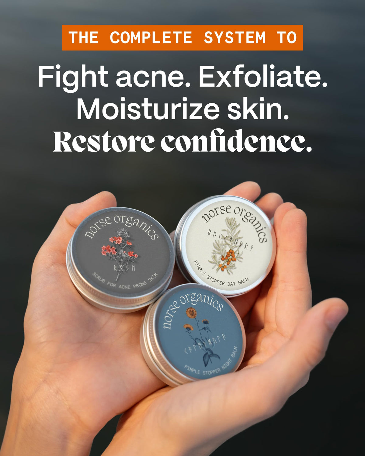Norse Organics The Complete System For Pimples (3 count)
