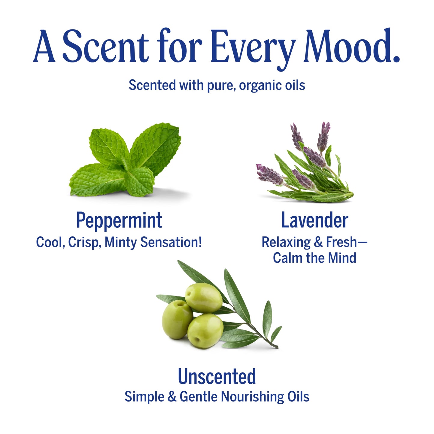 Dr. Bronner's Pure-Castile Magic Bar Soap- Made with Regenerative Organic Certified Oils- For Face, Body, Hair, Vegan Soap Bars for Men & Women Beauty & Personal Care Dr. Bronner's
