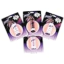 Graftobian Pro Setting Powder - Face Powder w/Puff (Translucent) Beauty & Personal Care Graftobian