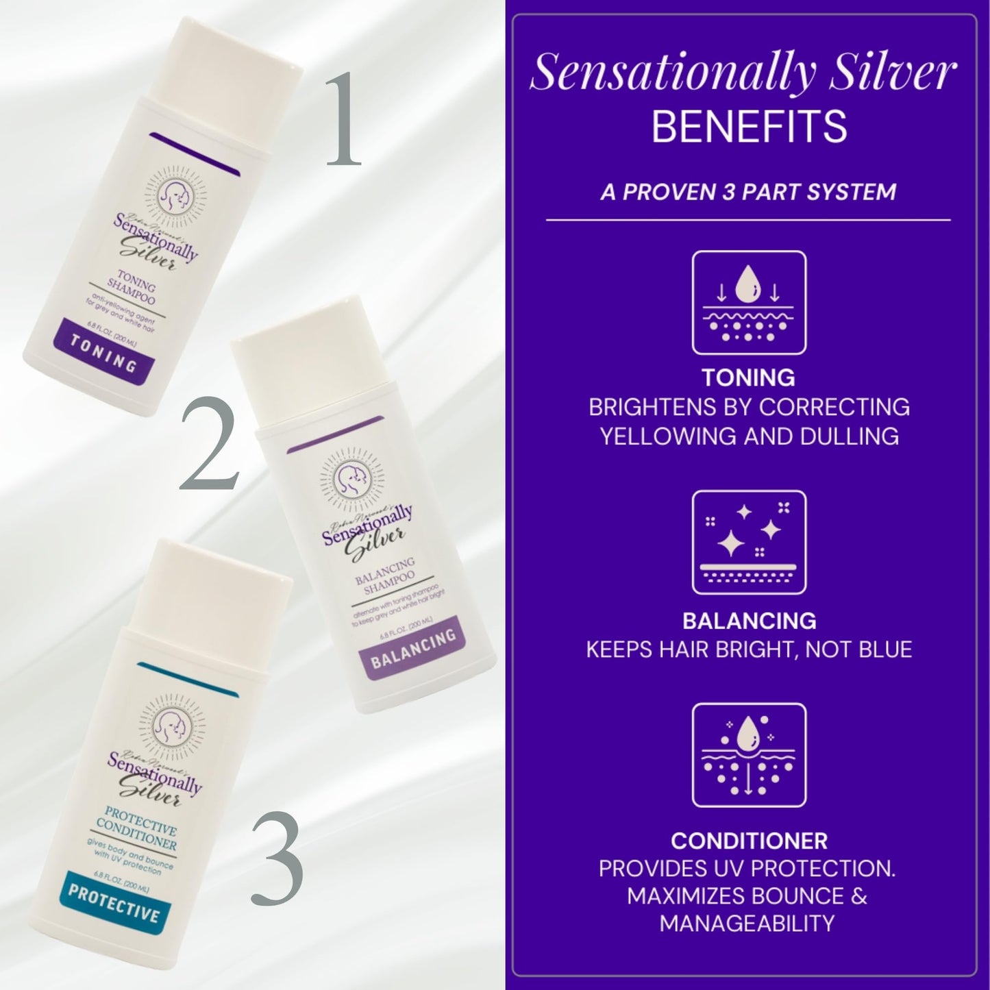 Father's Day | Sensationally Silver 3-Piece Gift Set - Premium Hair Care Trio for Gray, Silver & White Hair | Includes Toning Shampoo, Balancing Beauty & Personal Care Robin Norwood's Sensationally Silver