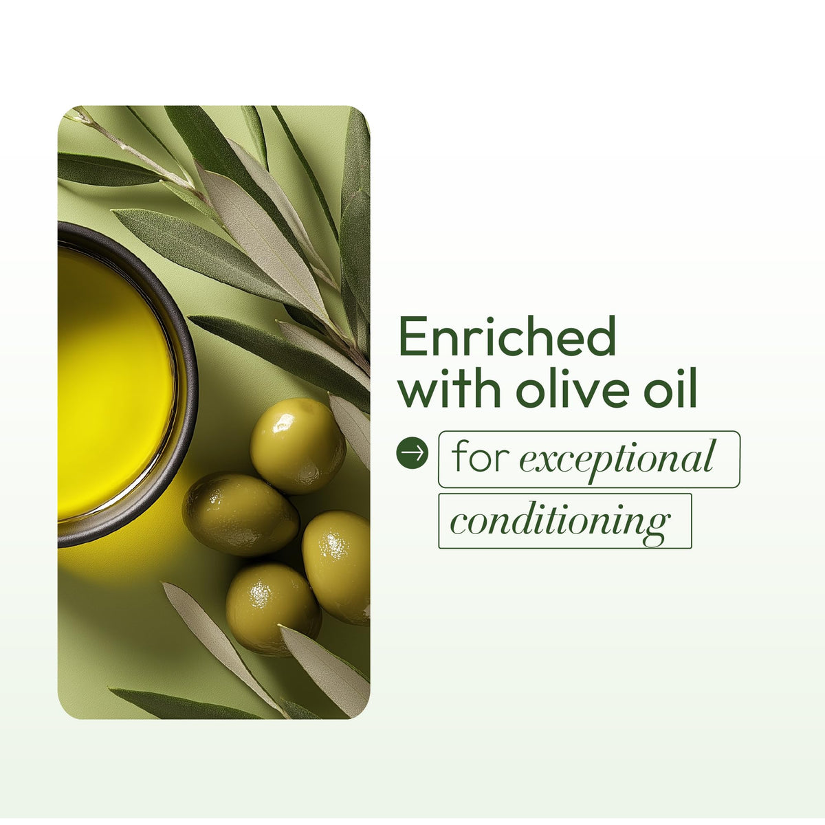 ORS Olive Oil Built-In Protection Full Application No-Lye Hair Relaxer Normal Strength (Pack of 1)