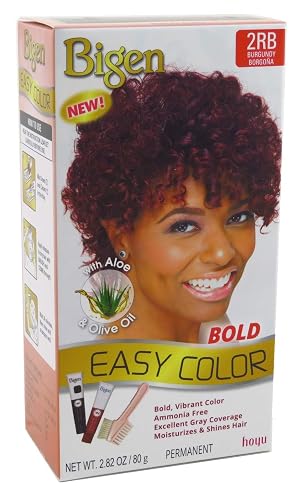 Bigen Easy Color #2RB Burgundy 2.82 Ounce (2 Pack) Beauty & Personal Care Bigen