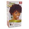 Bigen Easy Color #2RB Burgundy 2.82 Ounce (2 Pack) Beauty & Personal Care Bigen