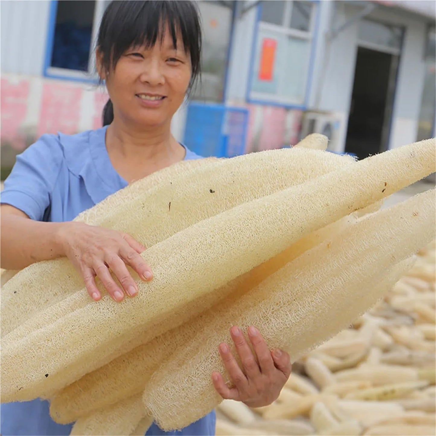 Natural Loofah Bath Body Shower Sponge Scrubber Pad Whole Full Lufa Exfoliation Biodegradable Luffa Sponge Scrubber(10cm-3pcs) Beauty and Personal Care HIVJEEDYH