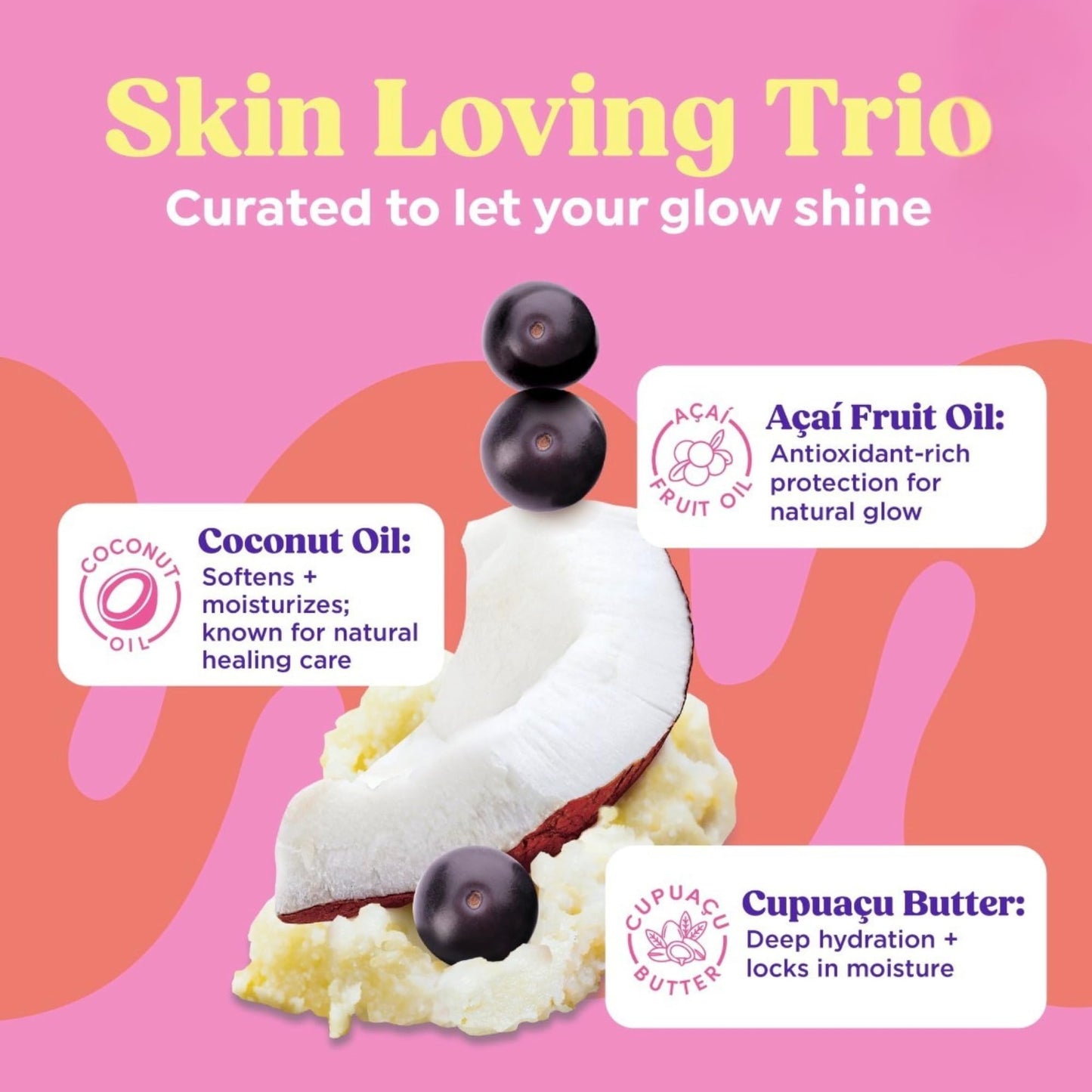 PDC Brands Sunryz Limited Edition Summer Scented Body Wash and Whipped Body Cream Duo, Petal Splash, 12 FL OZ Body Wash, 8 OZ Body Cream, 2 Piece Set Beauty & Personal Care PDC Brands