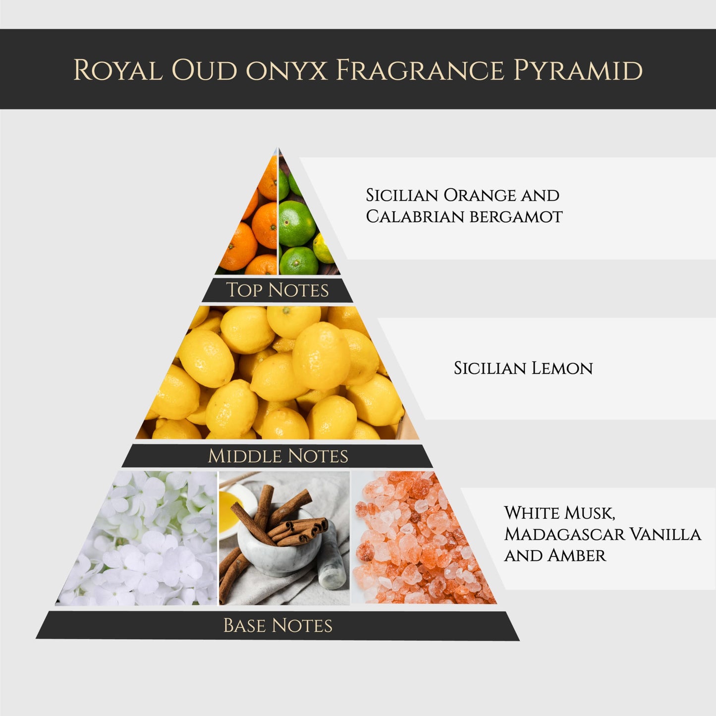 Maison GHandour Royal Oud Onyx | Luxury Perfume for Men and Women | Unisex Perfume | Oud Cologne with Sicilian Orange, Calabrian Bergamot & Vanilla | Beauty & Personal Care Maison GHandour