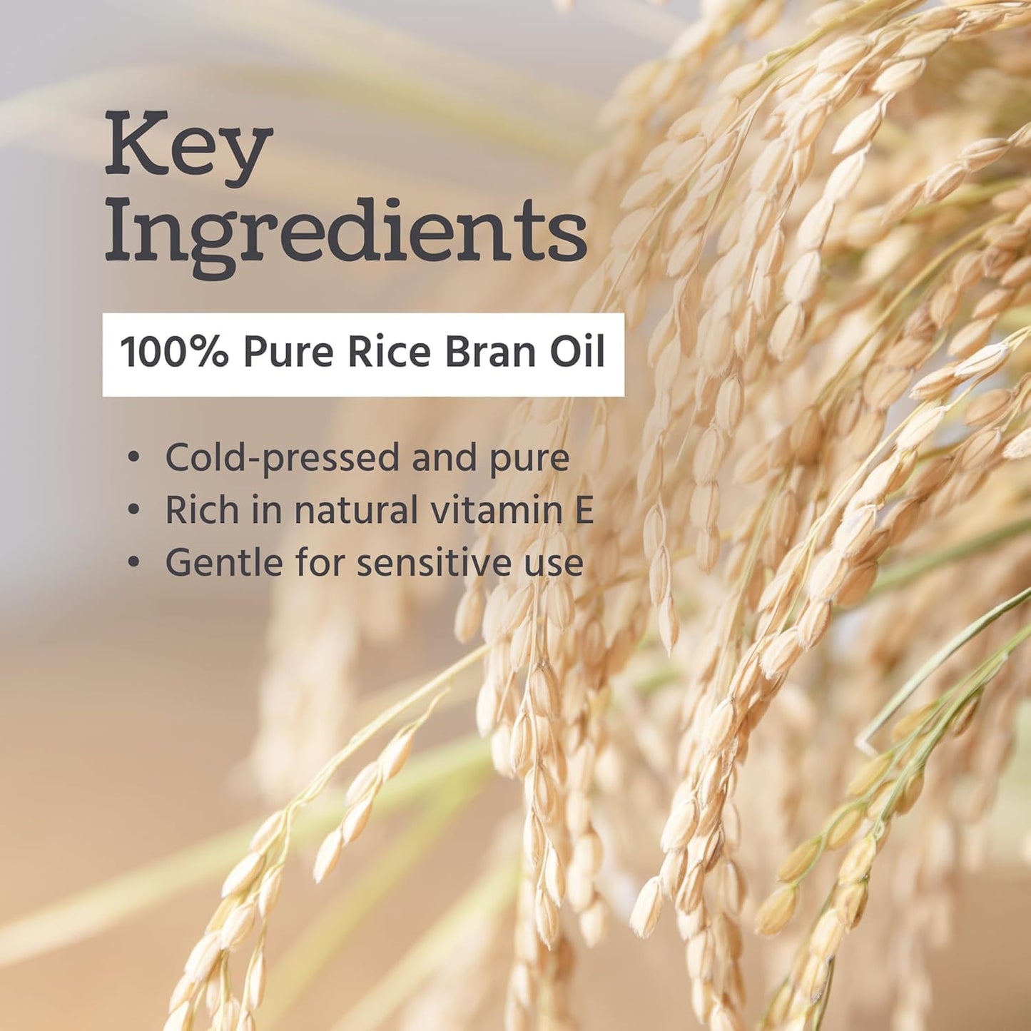 Well's Oil Rice Bran Oil 4 oz | 100% Pure Natural Carrier Oil | For All Skin & Hair | Refined, Cold Pressed | For Body, Skin & Hair | DIY Creams Beauty & Personal Care Well's Oil