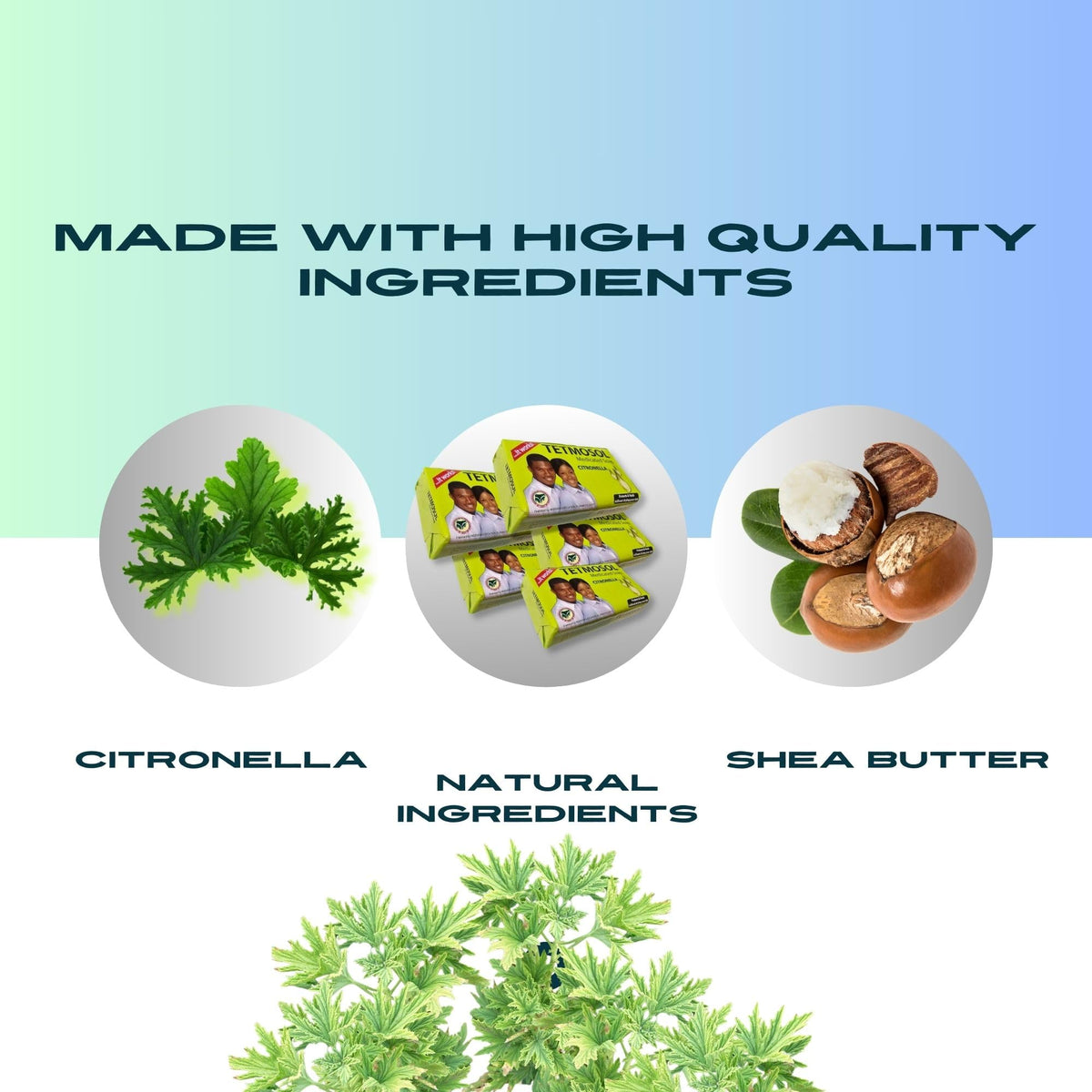 NatoGears Tetmosol Medicated Soap Big Size With Citronella 120g (5)