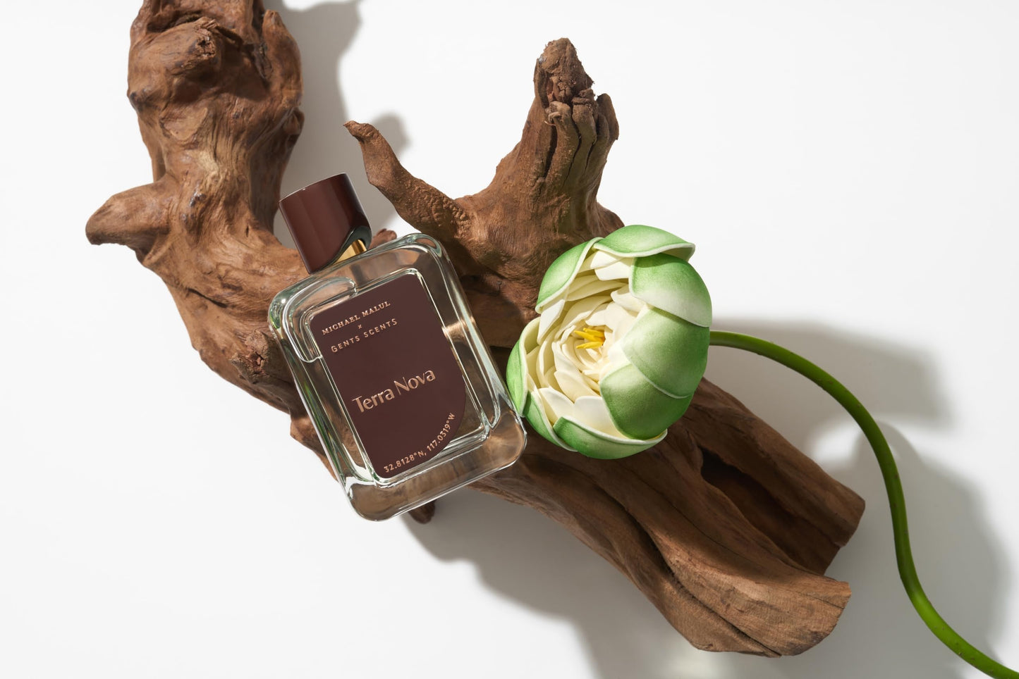 Michael Malul Terra Nova Eau de Parfum for Men - 100ml | 3.4oz Beauty & Personal Care Michael Malul