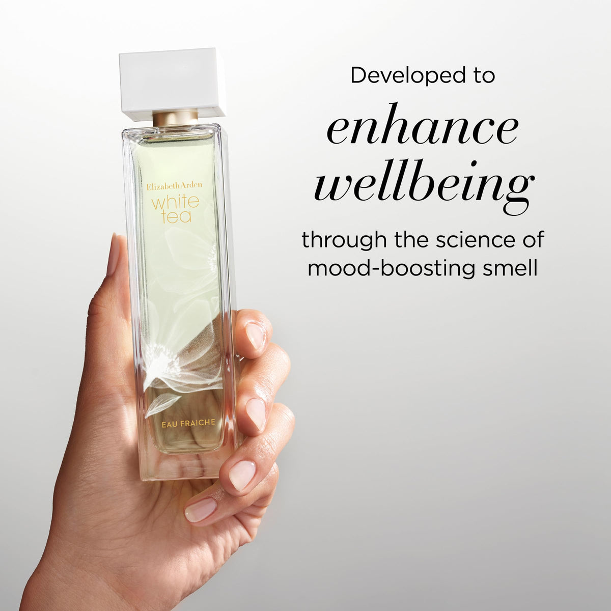 Elizabeth Arden White Tea Eau Fraiche 3.3 Fl Oz (Pack of 1) Beauty & Personal Care Elizabeth Arden