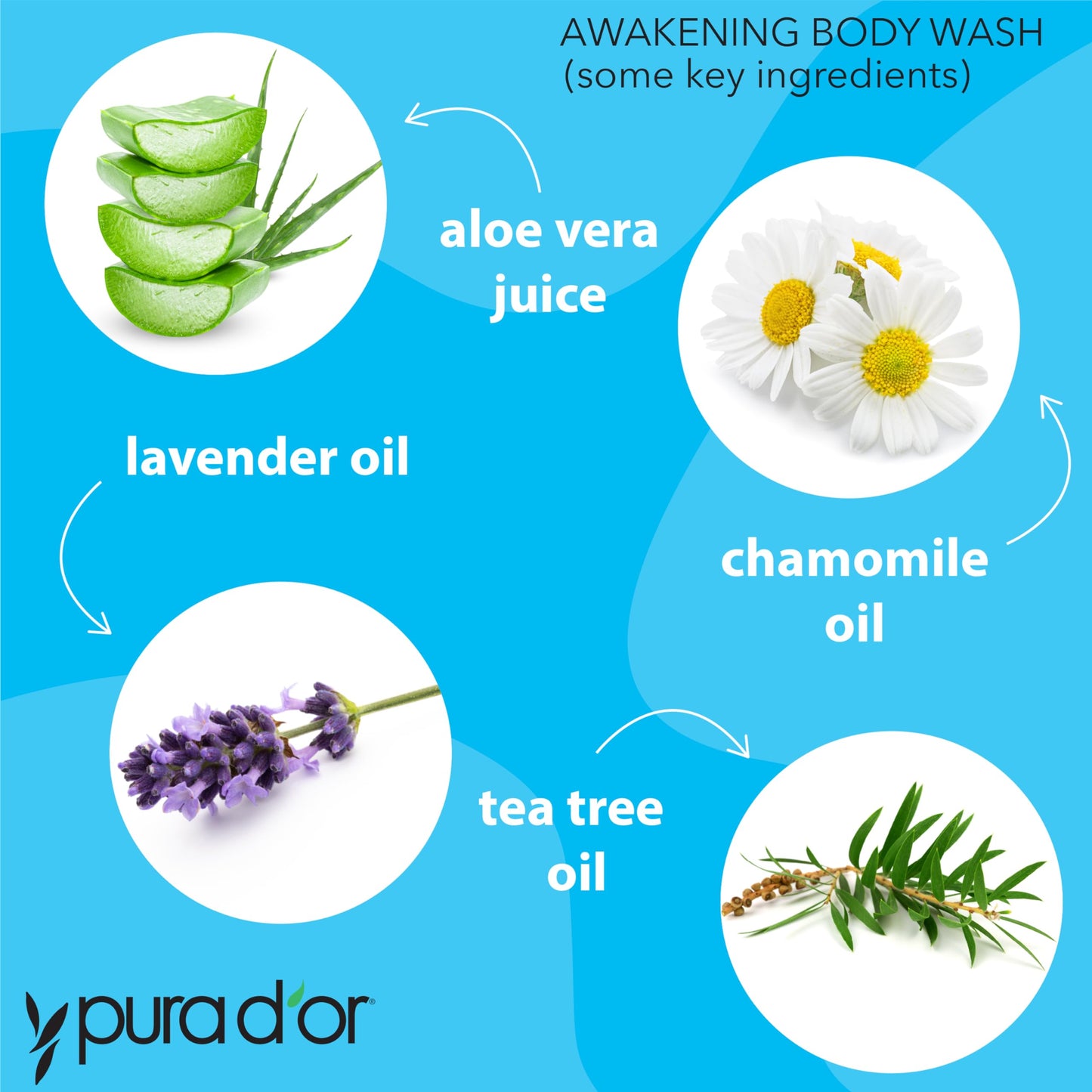 PURA D'OR 16 Oz Awakening Body Wash with Aloe Vera, Chamomile, Lavender, Tea Tree and Natural Nutrients - pH Balanced for Moisturized Soft Beauty & Personal Care PURA D'OR