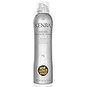 Kenra Professional Dry Oil Control Spray 14 | Medium Hold | Nourishing Spray | Frizz Control Hairspray | All Hair Types | 8 oz Beauty & Personal Care Kenra
