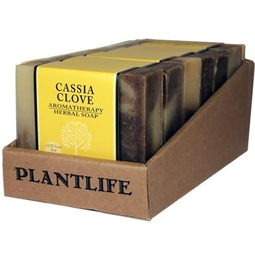 Plantlife Cassia Clove 6-pack Bar Soap - Moisturizing and Soothing Soap for Your Skin - Hand Crafted Using Plant-Based Ingredients - Made Beauty & Personal Care Plantlife