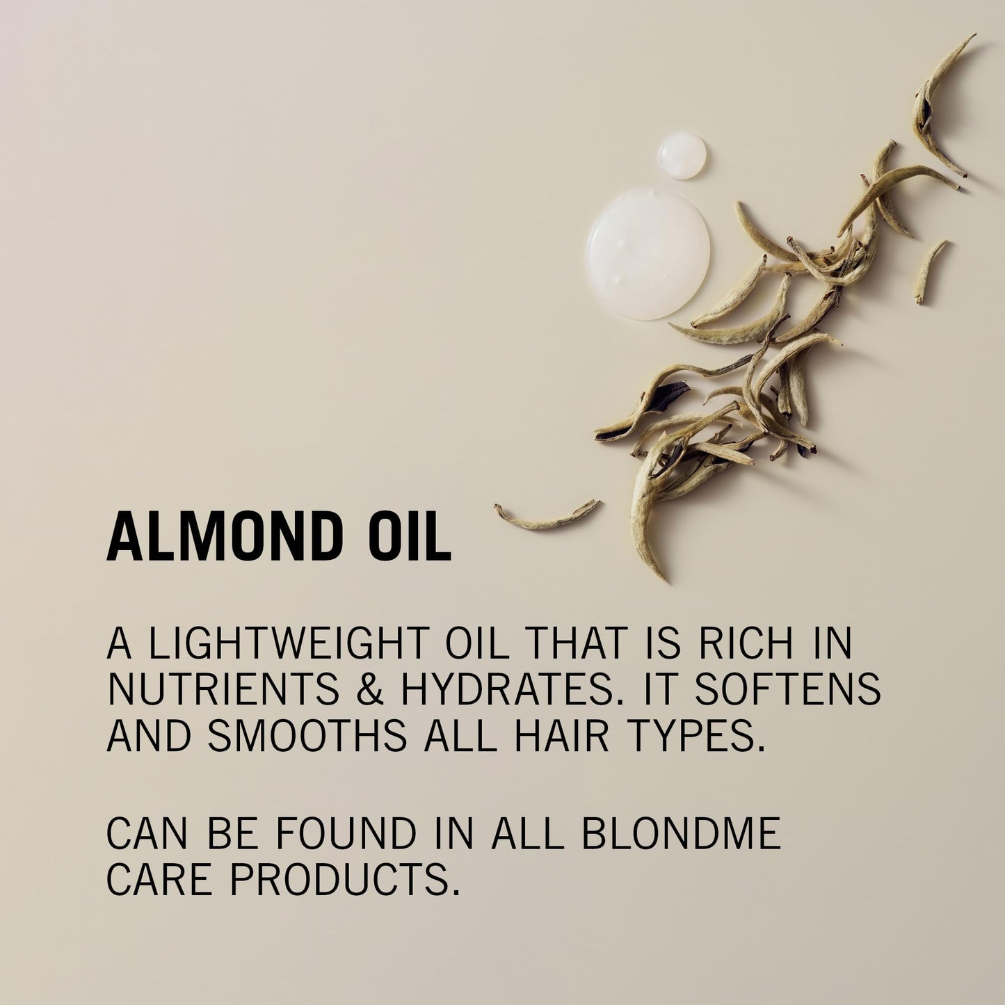 BLONDME Bond Repair Brightening Shampoo & Nourishing Conditioner Bundle | Gently Cleanses, Brightens & Detangles for Radiant, Stronger Blonde Hair Beauty & Personal Care BlondMe