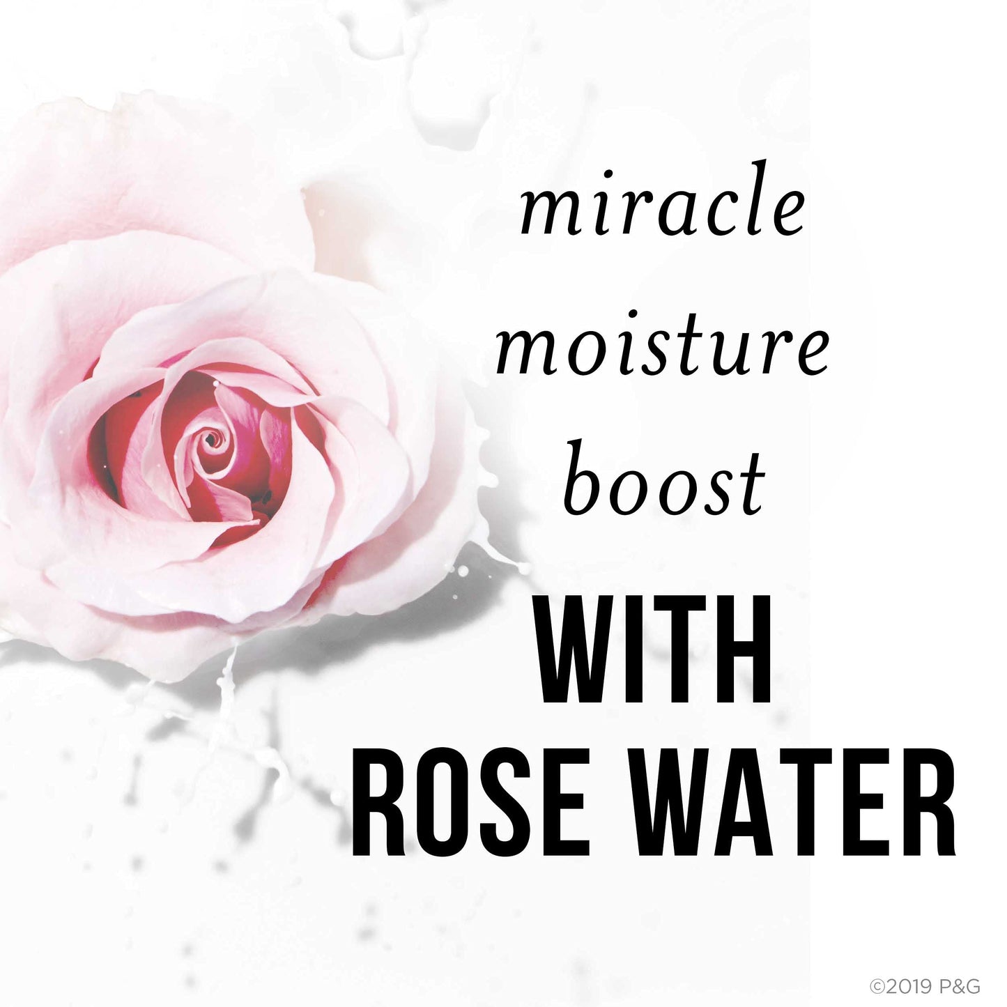 Pantene, Nutrient Blends Miracle Moisture Boost With Rose Water, 2.5 Fl Oz Beauty & Personal Care Pantene